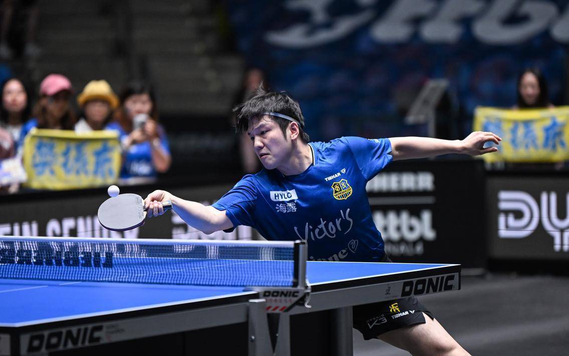 8.18日:樊振东1赛季完成德甲顶级转会豪门杜塞尔多夫创历史高薪